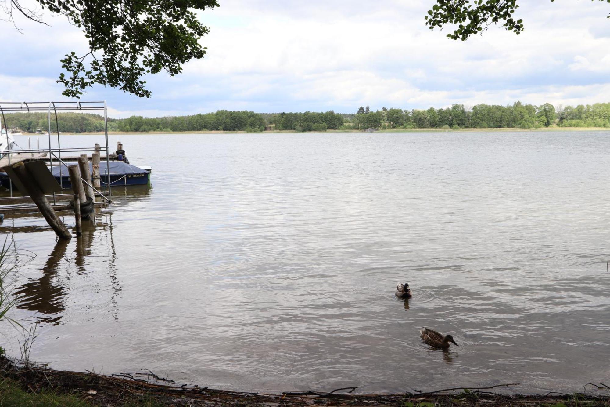 Ferienhaus Star Villa-Paelitzsee Grosszerlang Bagian luar foto